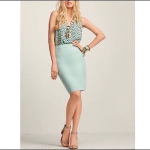 Cabi Jordan Almond Mint Green Skirt Sz 6 - Picture 1 of 7
